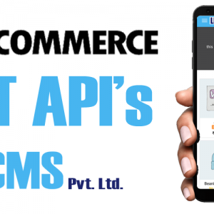 WooCommerce B2C Rest API, Woo commerce Rest API, WooCommerce Customer Login, WooCommerce Customer Register REST API, WordPress REST API front end,Customer Login Rest API,Customer Register Rest API,Add To Cart Rest API,Get Cart Rest API,Cart Count Rest API,Remove Cart Product Rest API,Update Quantity Rest API,Product Listing Rest API,Product Listing Rest API,Single Product Rest API,Order Rest API,Create Order Rest API,Single Order Rest API,Get Address Rest API,Save Address Rest API,Update Account Details Rest API,Categories Rest API,Chekout data Rest API,Create Review Rest API,Forgot Password Rest API,Get Page Rest API, WooCommerce business to Customer Rest API