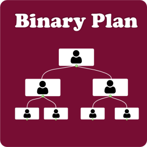 Binary_plan_banner